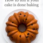 Baking 101 How to tell if your cake is done baking text overlay over picture of golden bundt cake with dried cranberries served on white plate