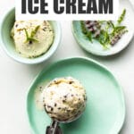 Mint chocolate chip ice cream scooped with a disher with a green handle.