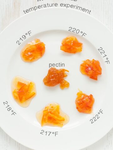 marmalade temperature experiment