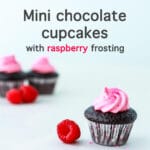 Mini chocolate cupcakes with pink raspberry frosting swirl
