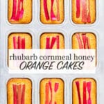 Mini orange cakes baked in a loaf cake pan topped with stalks of pink rhubarb