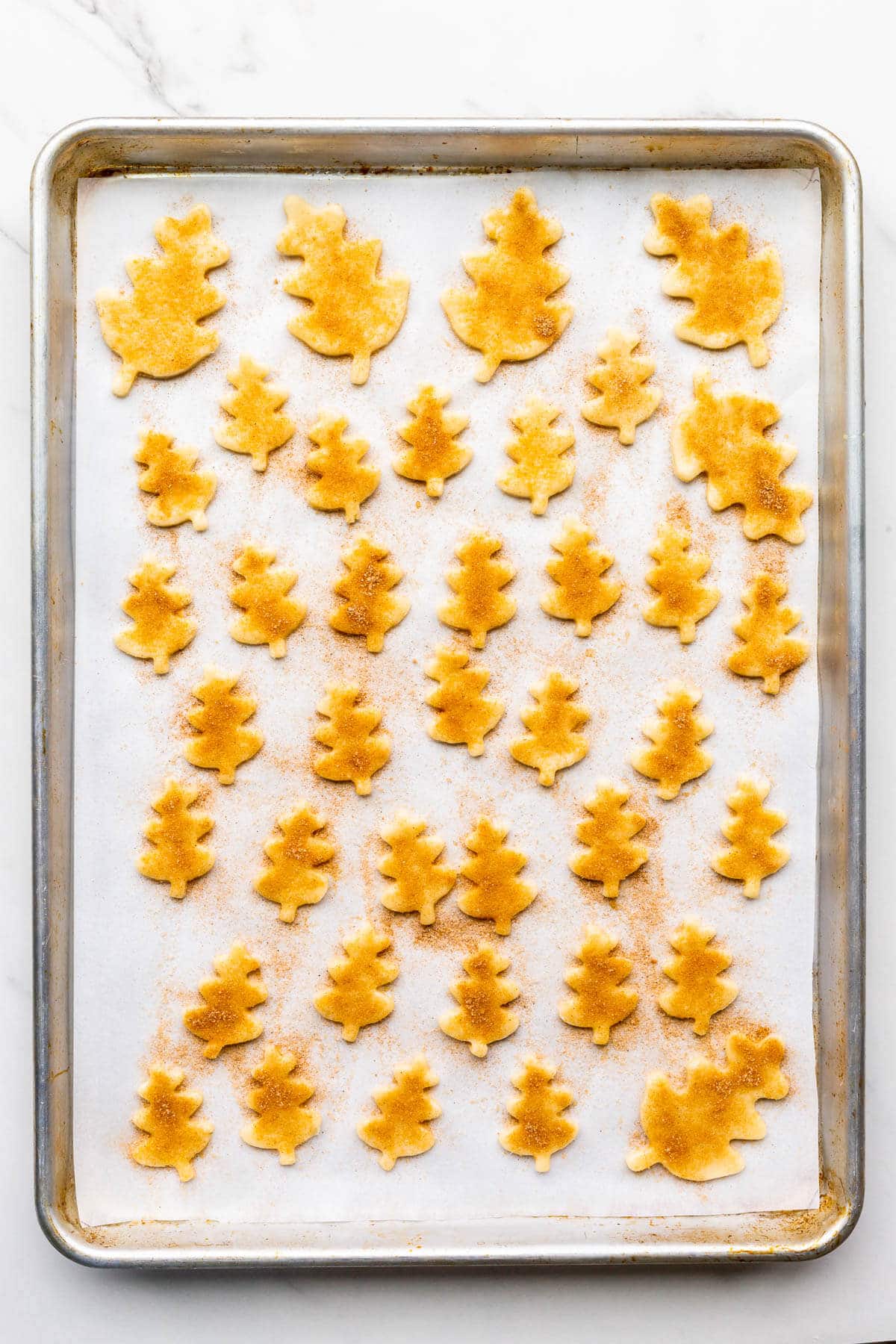 Unbaked leaf-shaped pie crust cookie cutouts for decorating a pumpkin pie, topped with cinnamon sugar before baking on a sheet pan.