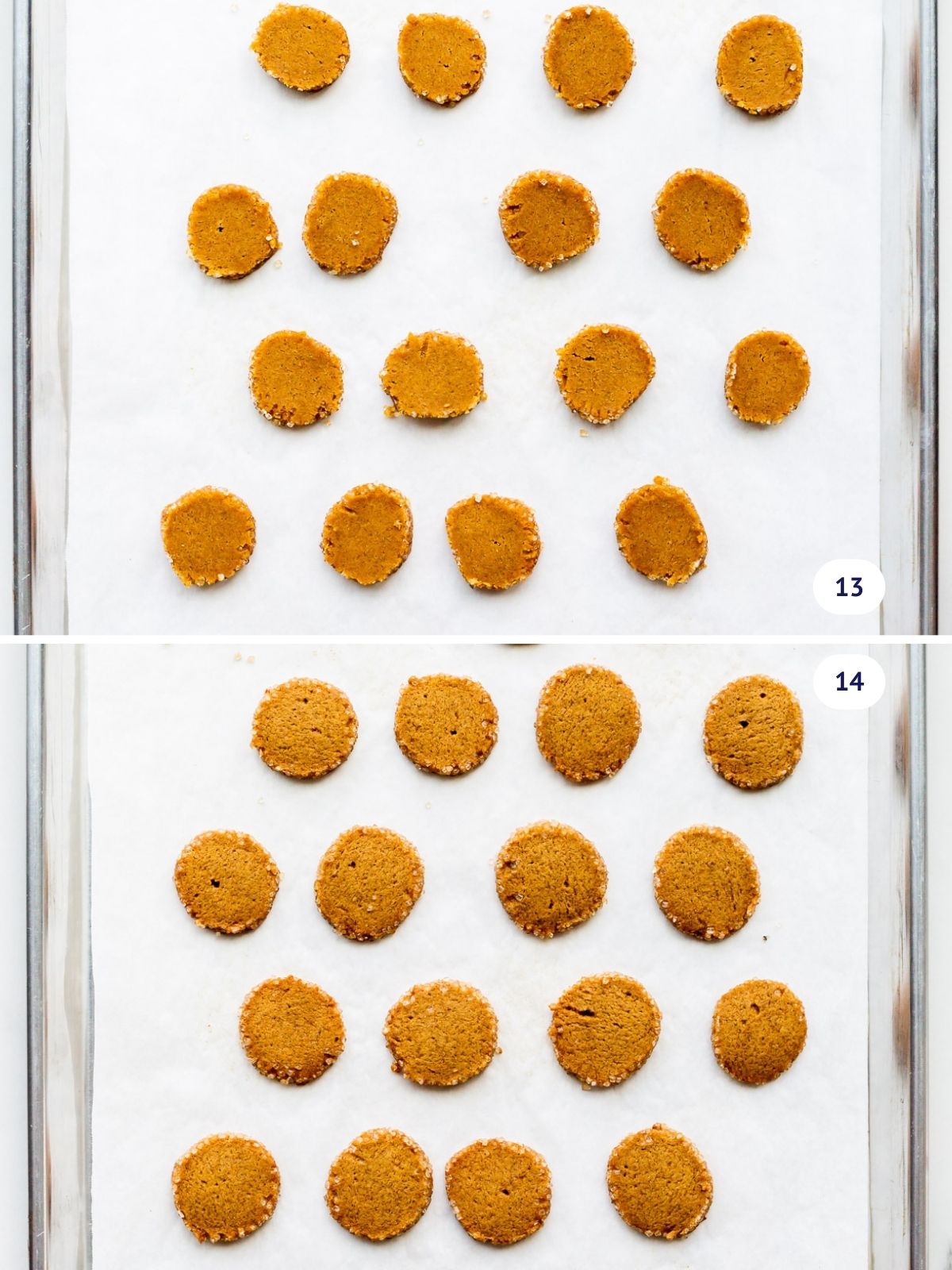Round gingerbread cookies before and after baking on a sheet pan.