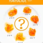a palette of orange marmalades with varying thickness and set, some runnier others thicker, to show impact of cooking temperature on marmalade set