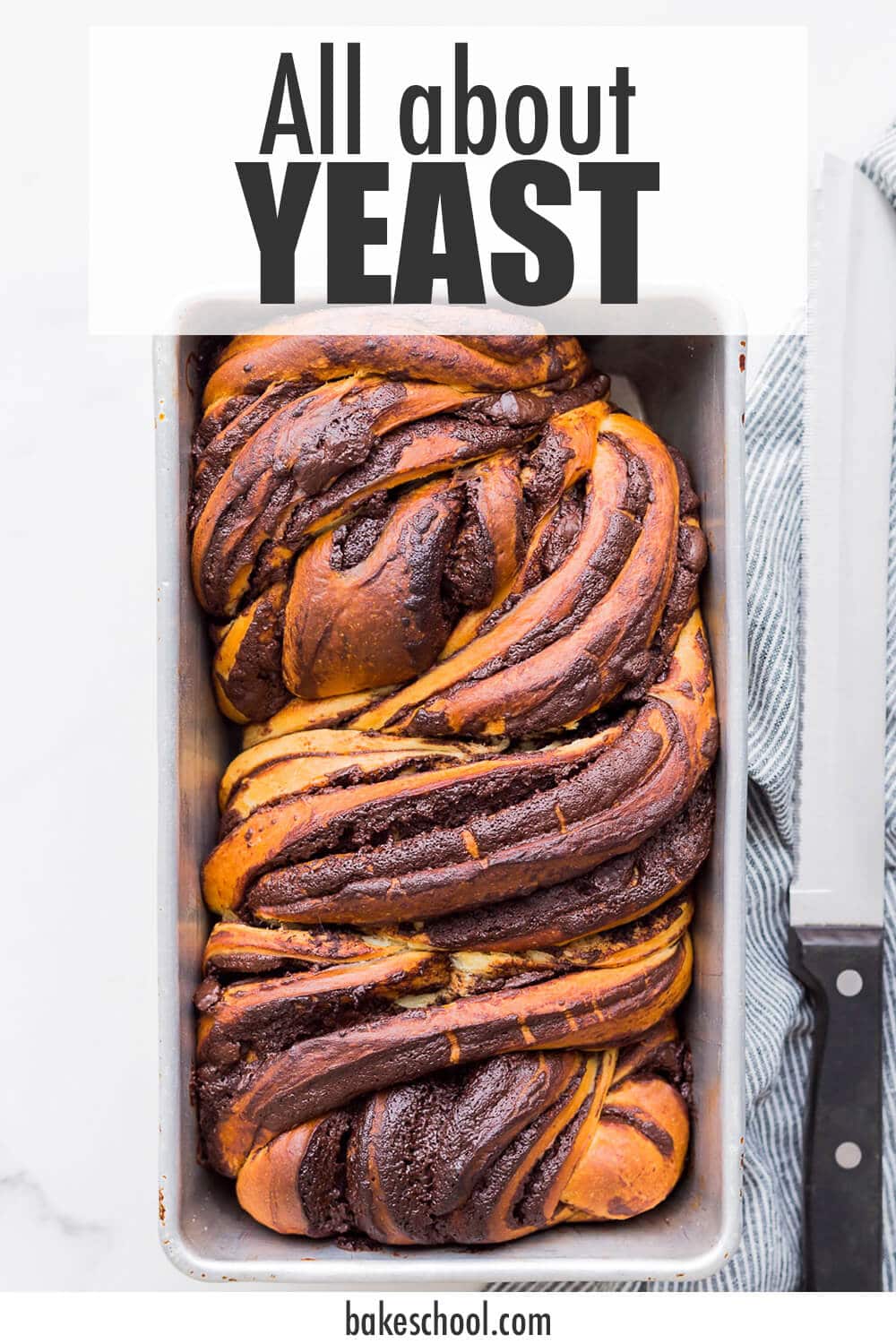Freshly baked babka in a loaf pan.